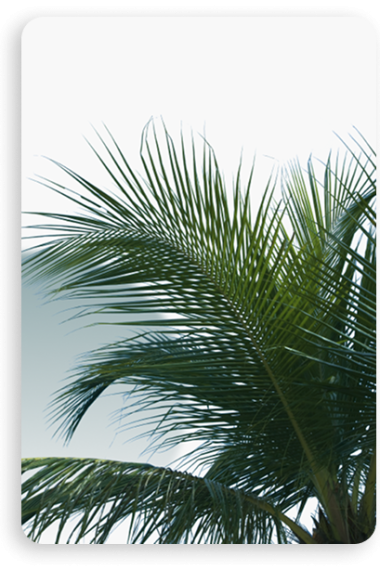 <span>Tiên phong</span>trong công nghệ sơn thân thiện với môi trường có sức cạnh tranh quốc tế